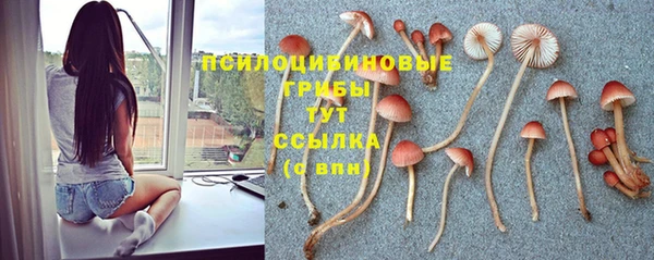 МДМА Волоколамск