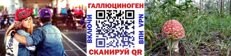 Галлюциногенные грибы Psilocybine cubensis  Томск 